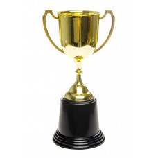 WINNER TROPHY CUP